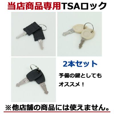 カギ　単品　スペア　キー　TSAロック 2本セット 日本企業企画 予備の鍵としてもオススメ　(90-00011)